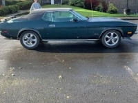 1972 Ford Mustang for sale in Michigan (ID-126363)