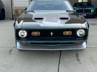 1972 Ford Mustang for sale in Michigan (ID-126619)
