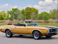 1972 Ford Mustang for sale (ID-127093)