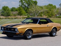 1972 Ford Mustang for sale (ID-127093)