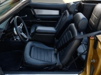 1972 Ford Mustang for sale (ID-127093)