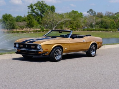 1972 Ford Mustang for sale