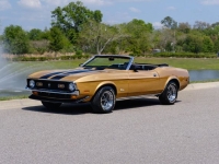 1972 Ford Mustang for sale in Riverhead, New York (ID-127159)