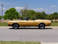 1972 Ford Mustang for sale in Riverhead, New York (ID-127159)