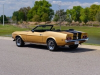 1972 Ford Mustang for sale in Riverhead, New York (ID-127159)