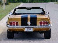 1972 Ford Mustang for sale in Riverhead, New York (ID-127159)