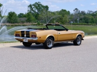 1972 Ford Mustang for sale in Riverhead, New York (ID-127159)