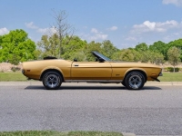 1972 Ford Mustang for sale in Riverhead, New York (ID-127159)