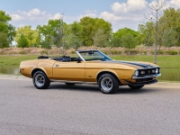 1972 Ford Mustang for sale in Riverhead, New York (ID-127159)