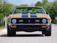 1972 Ford Mustang for sale in Riverhead, New York (ID-127159)