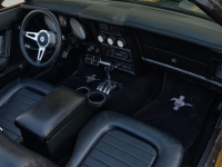 1972 Ford Mustang for sale in Riverhead, New York (ID-127159)