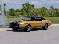 1972 Ford Mustang for sale in Riverhead, New York (ID-127159)