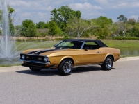 1972 Ford Mustang for sale (ID-127331)