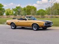 1972 Ford Mustang for sale (ID-127331)