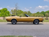 1972 Ford Mustang for sale (ID-127331)