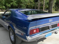 1972 Ford Mustang for sale in Addison, Illinois (ID-131573)