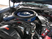 1972 Ford Mustang for sale in Addison, Illinois (ID-131573)