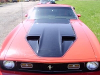 1972 Ford Mustang for sale (ID-99485)