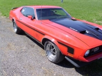 1972 Ford Mustang for sale (ID-99485)