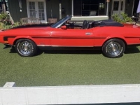 1972 Ford Mustang for sale in Michigan (ID-136514)