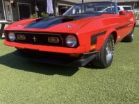 1972 Ford Mustang for sale in Michigan (ID-136514)