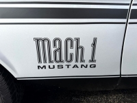 1972 Ford Mustang for sale in Riverhead, New York (ID-140102)