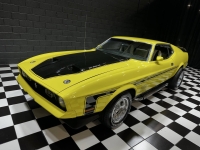 1972 Ford Mustang for sale in Addison, Illinois (ID-140901)