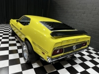 1972 Ford Mustang for sale in Addison, Illinois (ID-140901)