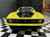 1972 Ford Mustang for sale in Addison, Illinois (ID-140901)