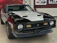 1972 Ford Mustang for sale in Michigan (ID-142128)