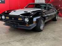 1972 Ford Mustang for sale in Michigan (ID-142128)
