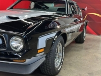 1972 Ford Mustang for sale in Michigan (ID-142128)