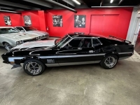 1972 Ford Mustang for sale in Michigan (ID-142128)
