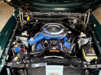 1972 Ford Mustang for sale in Michigan (ID-144131)