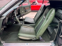 1972 Ford Mustang for sale in Michigan (ID-144131)