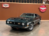 1972 Ford Mustang for sale in Michigan (ID-144131)