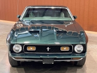 1972 Ford Mustang for sale in Michigan (ID-144131)