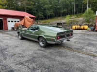 1972 Ford Mustang for sale in Michigan (ID-144896)