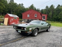 1972 Ford Mustang for sale in Michigan (ID-144896)