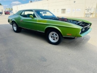1972 Ford Mustang for sale in Michigan (ID-144958)