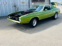 1972 Ford Mustang for sale in Michigan (ID-144958)