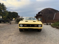 1972 Ford Mustang for sale in Michigan (ID-155997)