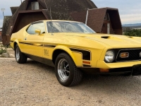 1972 Ford Mustang for sale in Michigan (ID-155997)