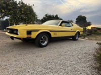 1972 Ford Mustang for sale in Michigan (ID-155997)