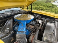 1972 Ford Mustang for sale in Michigan (ID-155997)