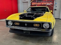 1972 Ford Mustang for sale in Riverhead, New York (ID-162424)