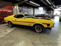 1972 Ford Mustang for sale in Riverhead, New York (ID-162424)