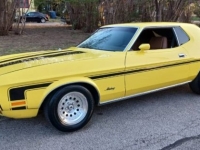 1972 Ford Mustang for sale in Michigan (ID-162883)