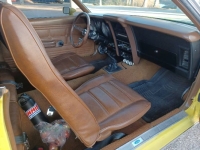 1972 Ford Mustang for sale in Michigan (ID-162883)
