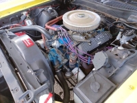 1972 Ford Mustang for sale in Michigan (ID-162883)